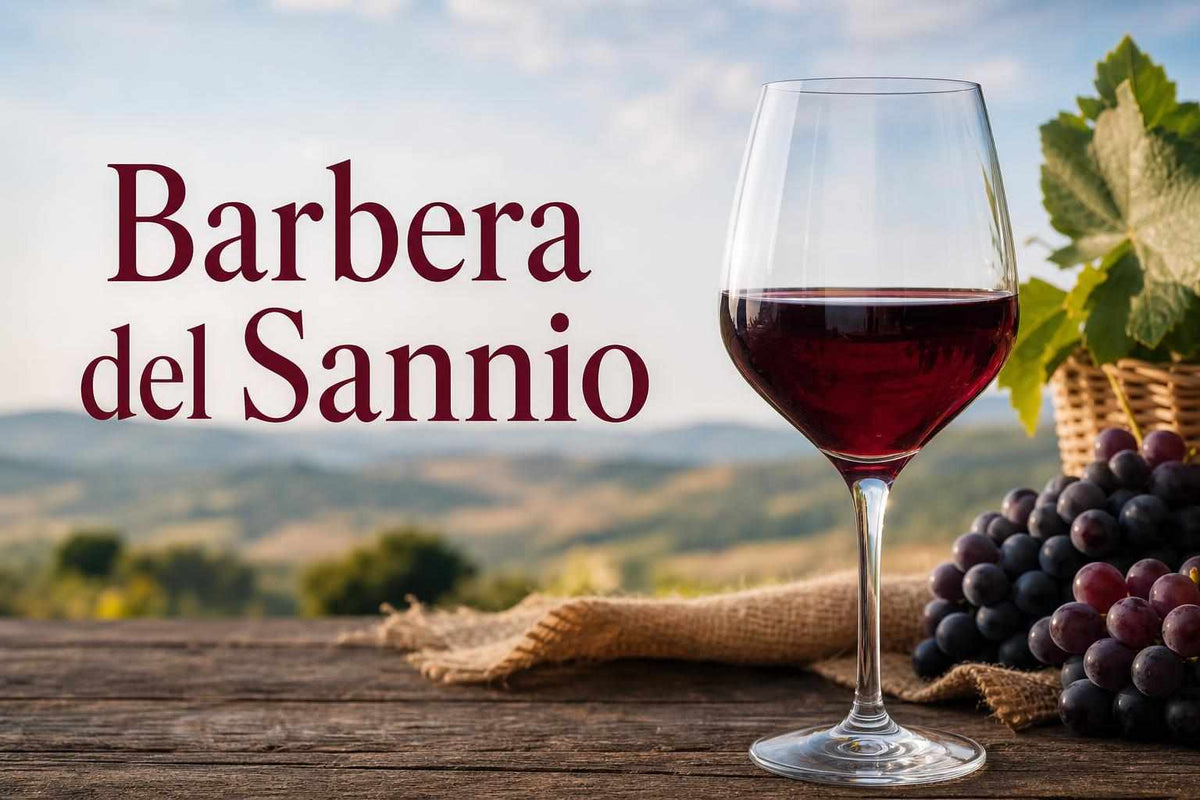 Barbera sannio