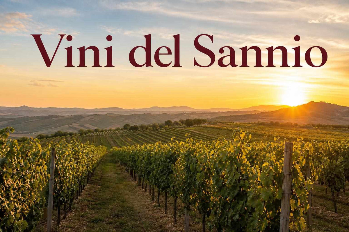 vini sannio vitigni