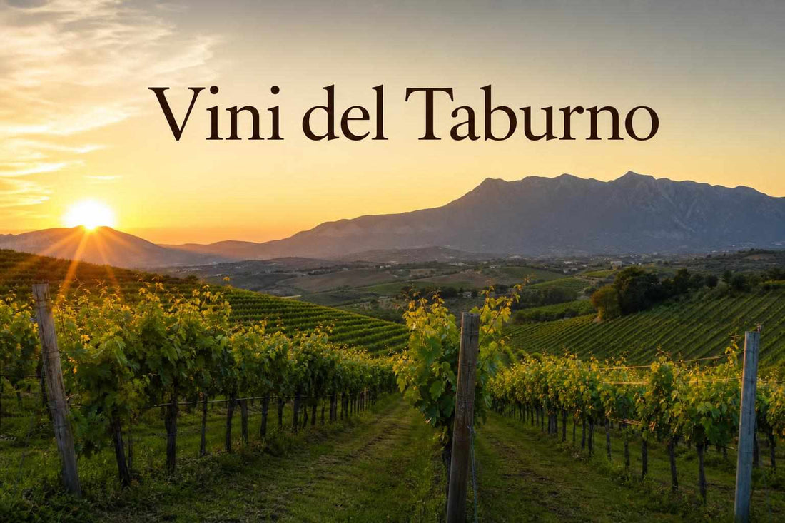 vini taburno territori