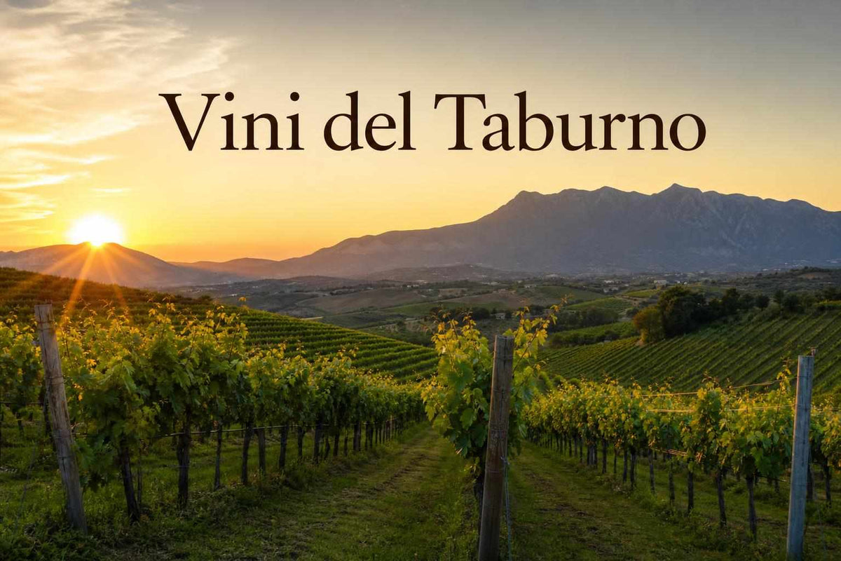 vini taburno territori