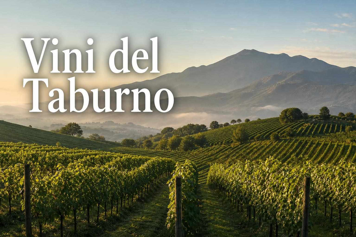 viticoltura taburno altitudine